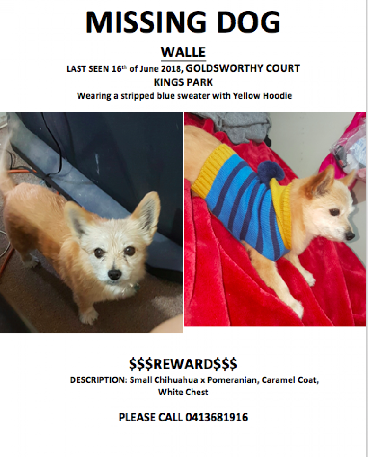 Sightings - Bragging Rights (1490x1490), Png Download