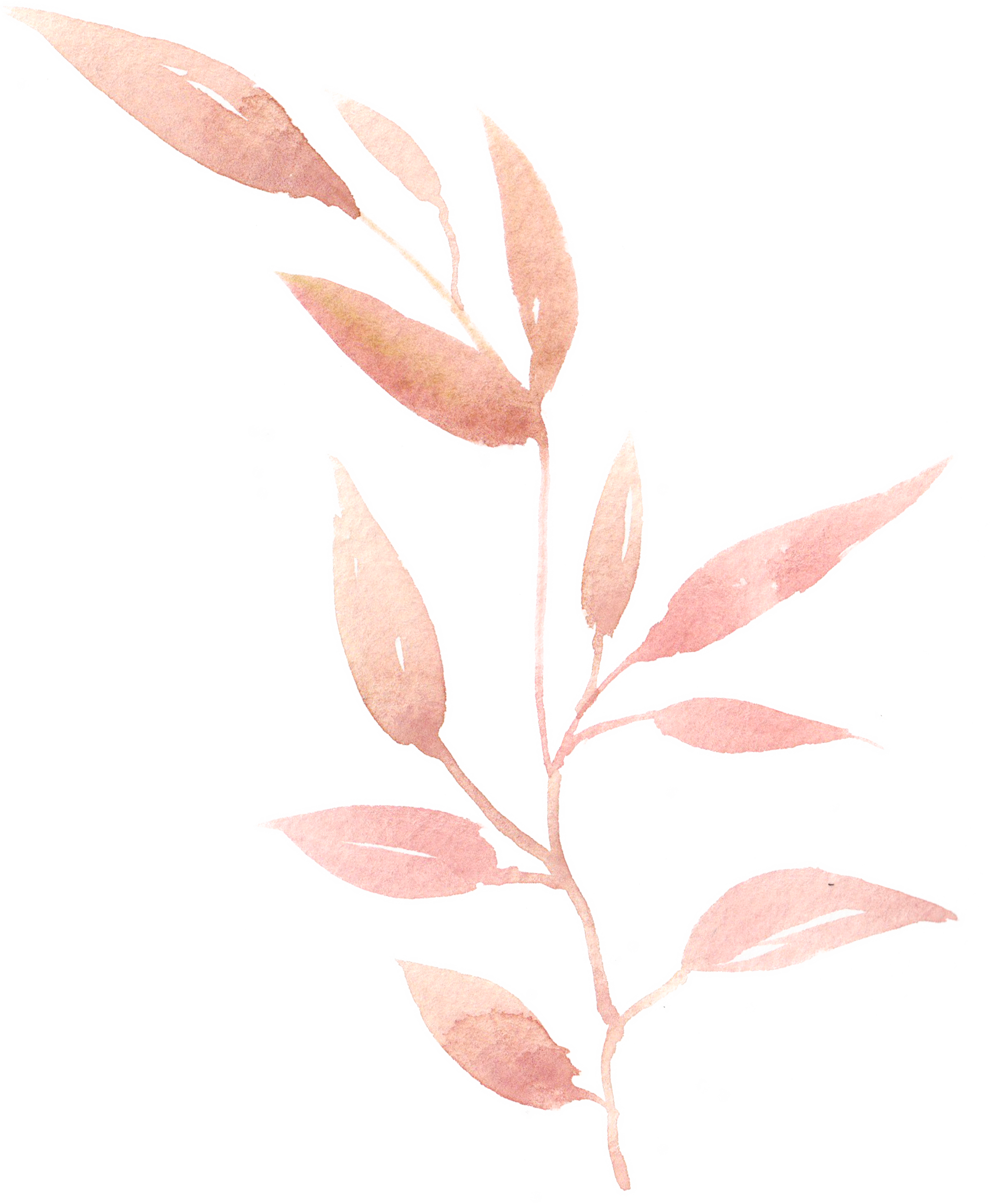 0℃素材28 Watercolor Leaves, Watercolor Art, Clip Art, - Png Soft Watercolour Leaves (2010x2443), Png Download