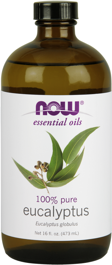 Now Eucalyptus Oil, 473 Ml - Now Foods Eucalyptus Oil (383x880), Png Download