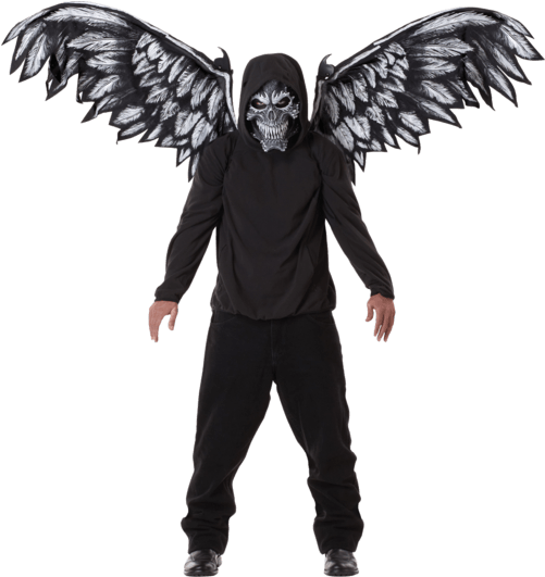 Adult Fallen Angel Mask And Wings (500x793), Png Download