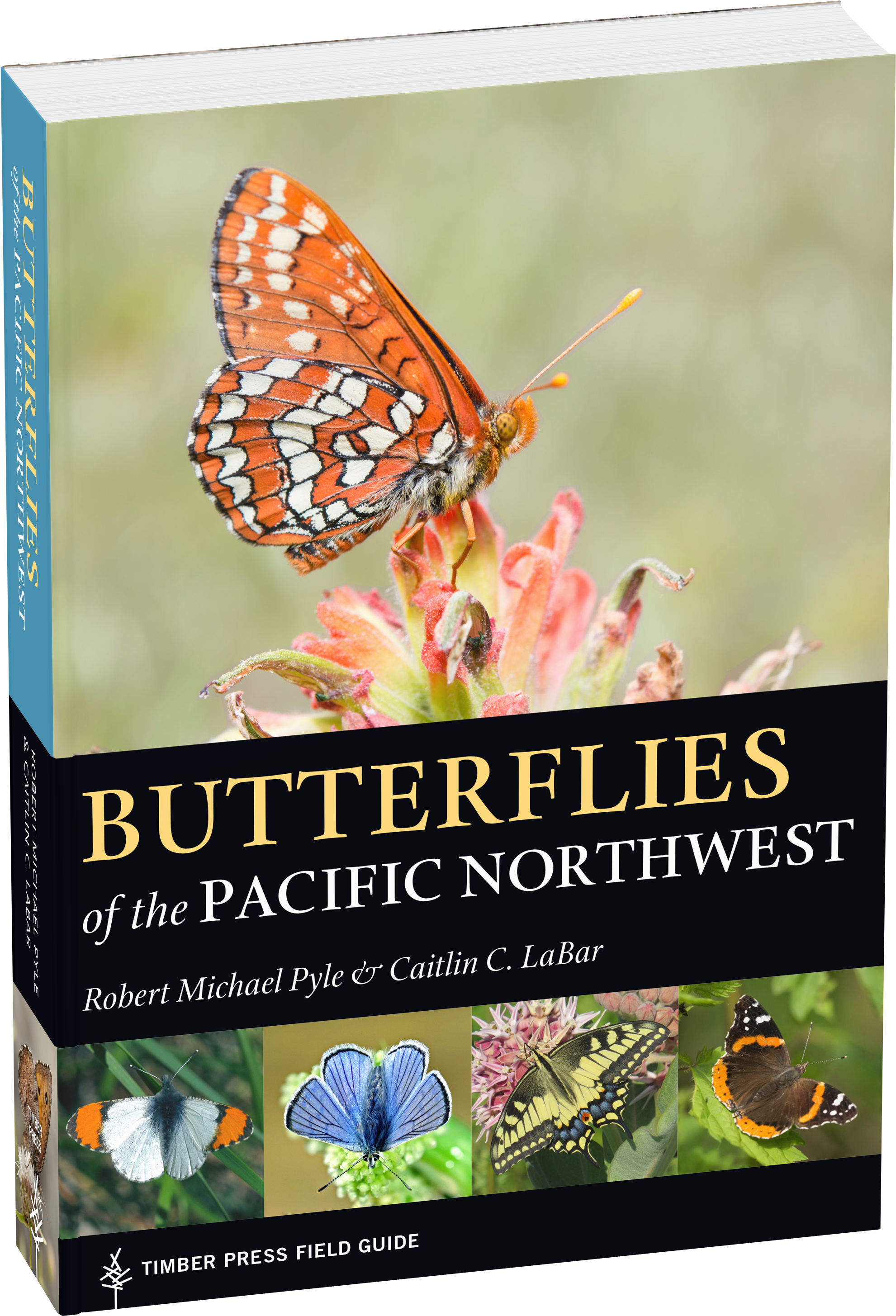 Butterflies Of The Pacific Northwest (2000x2939), Png Download
