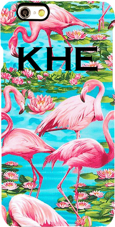 Cuadros De Flamencos Animales (530x909), Png Download