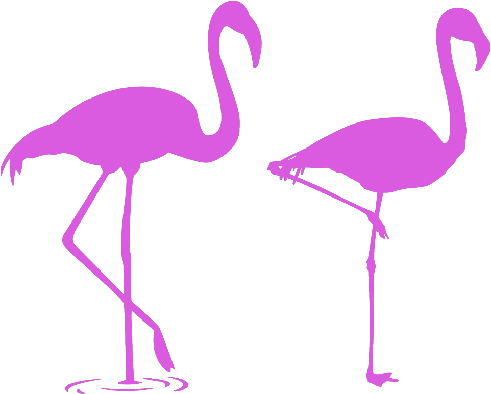 Mq Pink Flamingo Flamingos Silhouette - Flamencos Para La Pared (1024x1024), Png Download