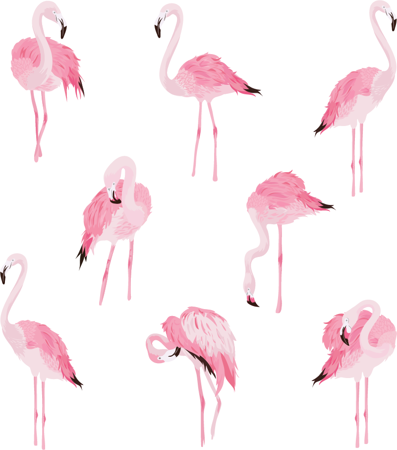 Wall Colour - 2019 Flamingos (801x907), Png Download