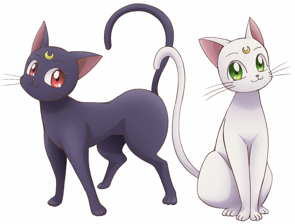 La Belle Qui Se Transformait En Magical Girl - Sailor Moon Luna Png (1024x778), Png Download