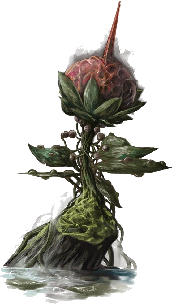 Intelligent Creatures Who Had Supernatural Powers To - Pathfinder Plants (561x1000), Png Download