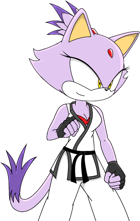 Tae Kwon Do Blaze The Cat Honfox - Blaze The Cat Karate (668x768), Png Download