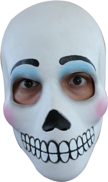 /day Of The Dead Catrina Mask/ - Mascara De Catrines (600x600), Png Download