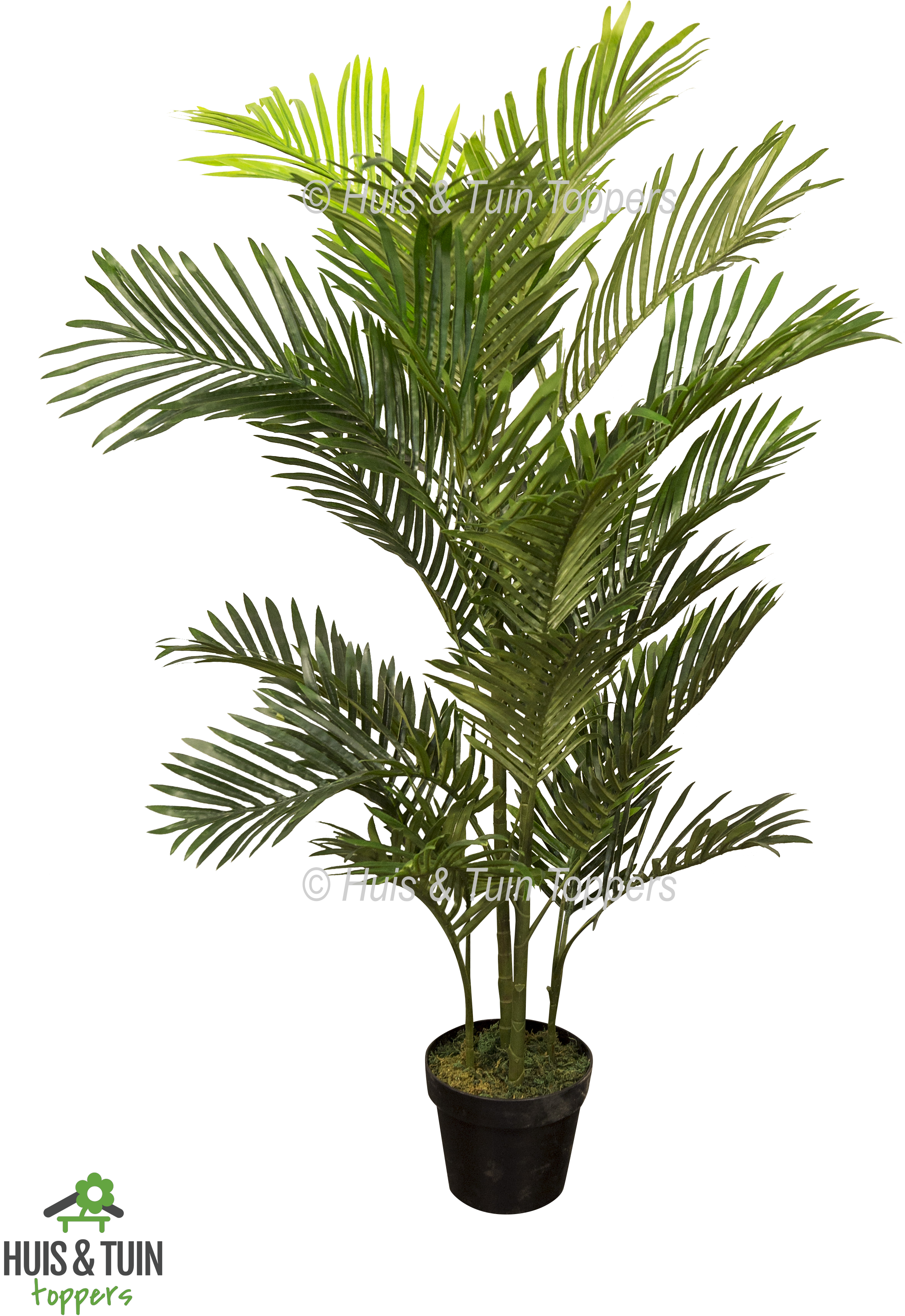 Kunstplant Areca Palm - Kunstplant Areca Palm Png (2835x4252), Png Download