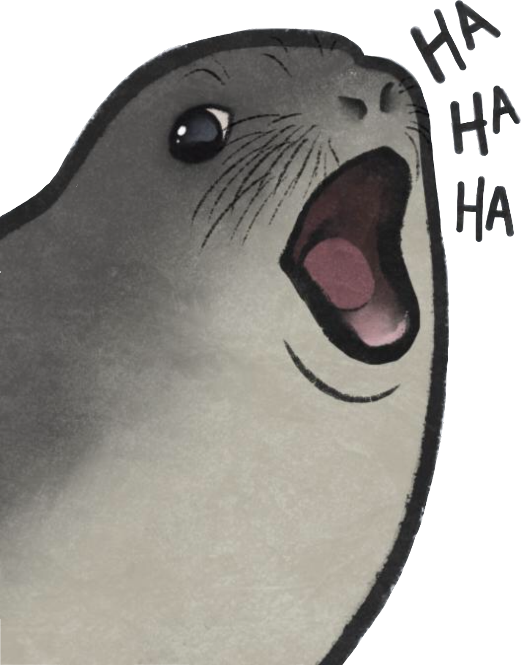 Report Abuse - California Sea Lion (1024x1307), Png Download