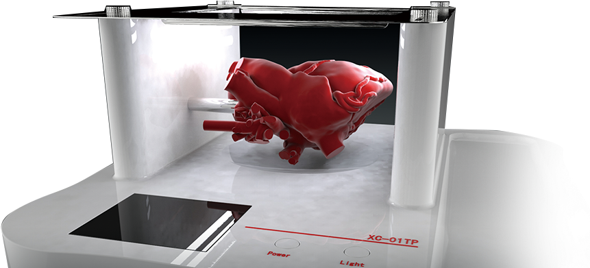 Made To Order Heart & Organ Model - Led-backlit Lcd Display (860x550), Png Download