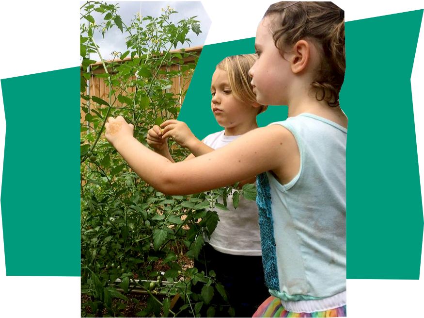 Programs Copy 3@2x - Toddler (912x722), Png Download