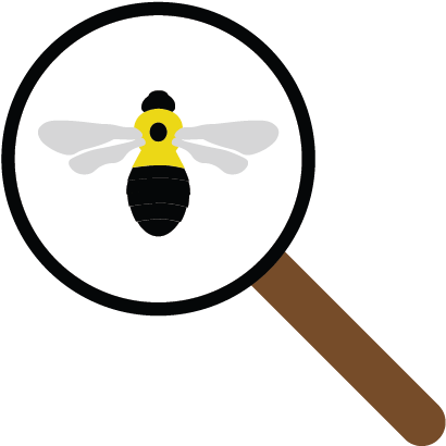 Icon Of Bumble Bee Under Magnifying Glass (834x574), Png Download