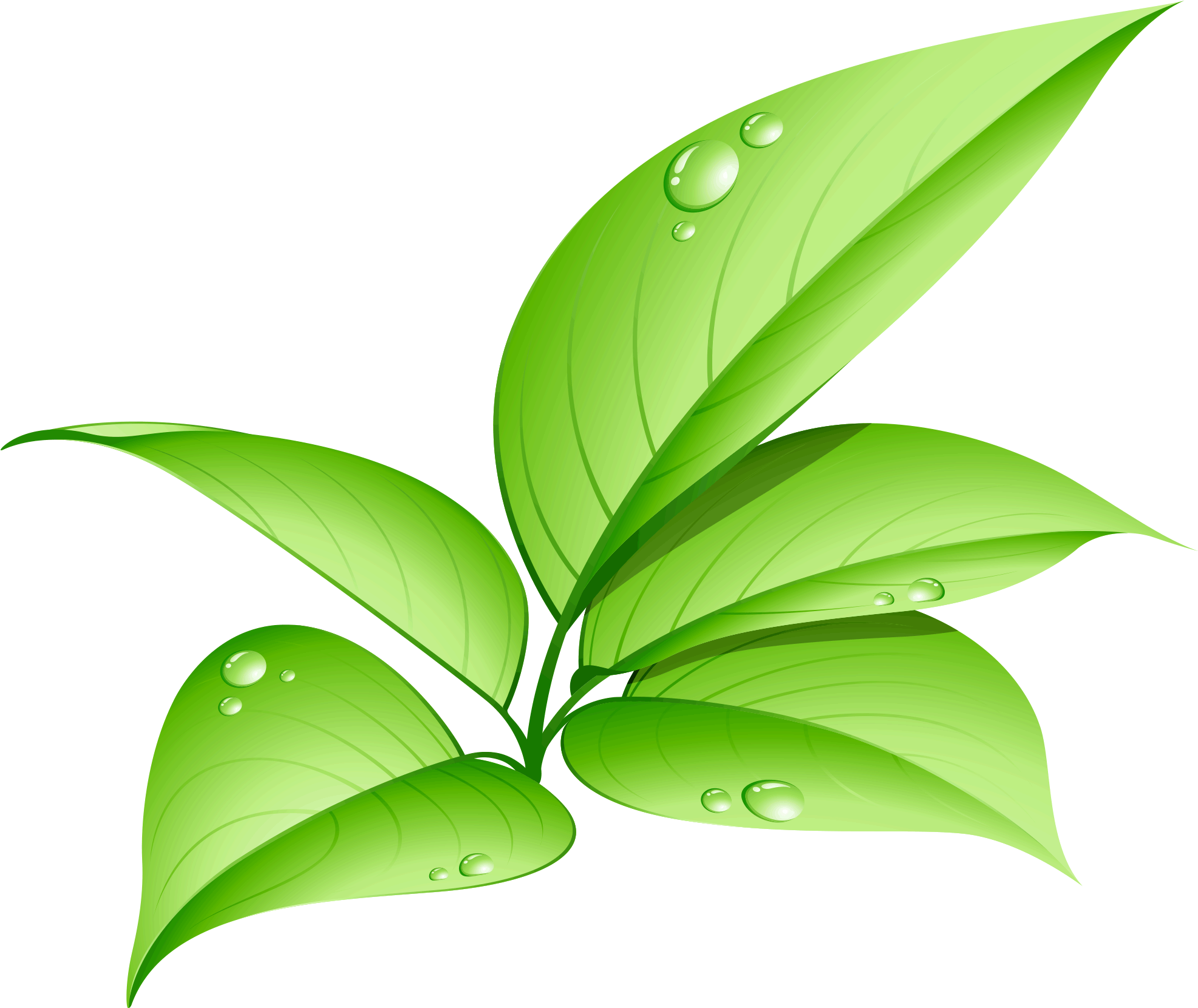 Download - Led Lights Environmentally Friendly (2048x2048), Png Download