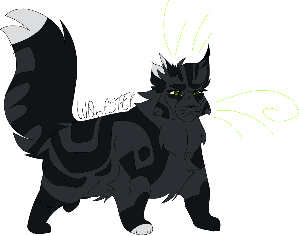 Warrior Cats Wolfstep (956x756), Png Download