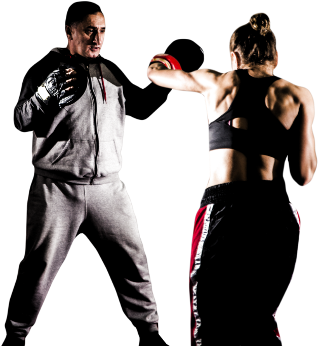 Heavy Bag - Professional Boxing (1600x750), Png Download