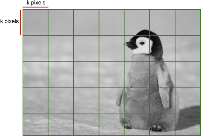 Split The Image In A Grid Of Cells Of Size K K - Emperor Penguin (680x468), Png Download
