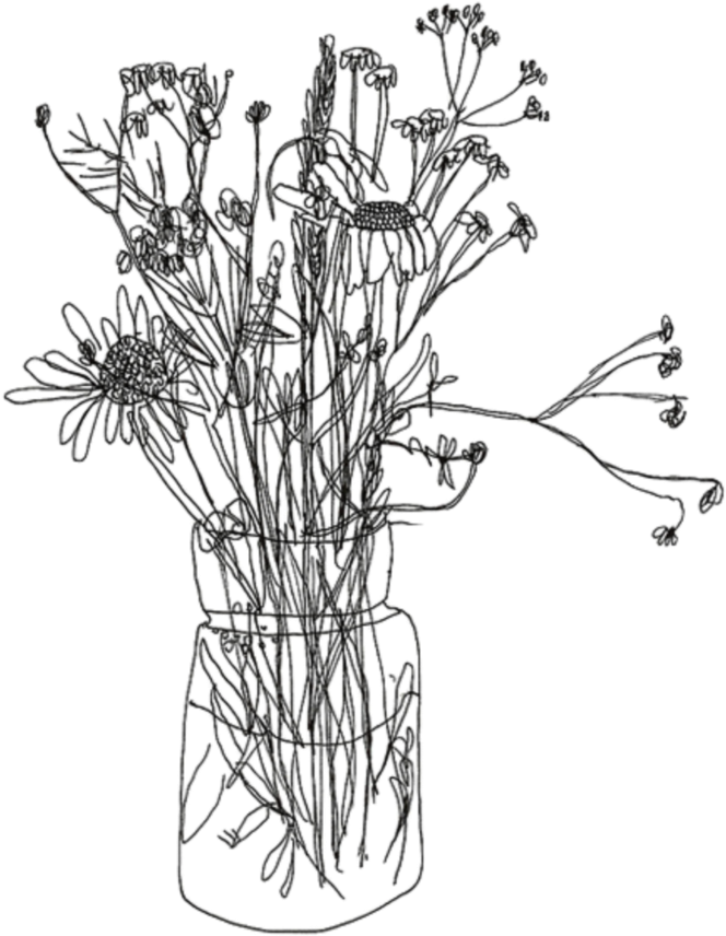 Flower Sticker - Contour Drawing Of Flowers (1024x1024), Png Download