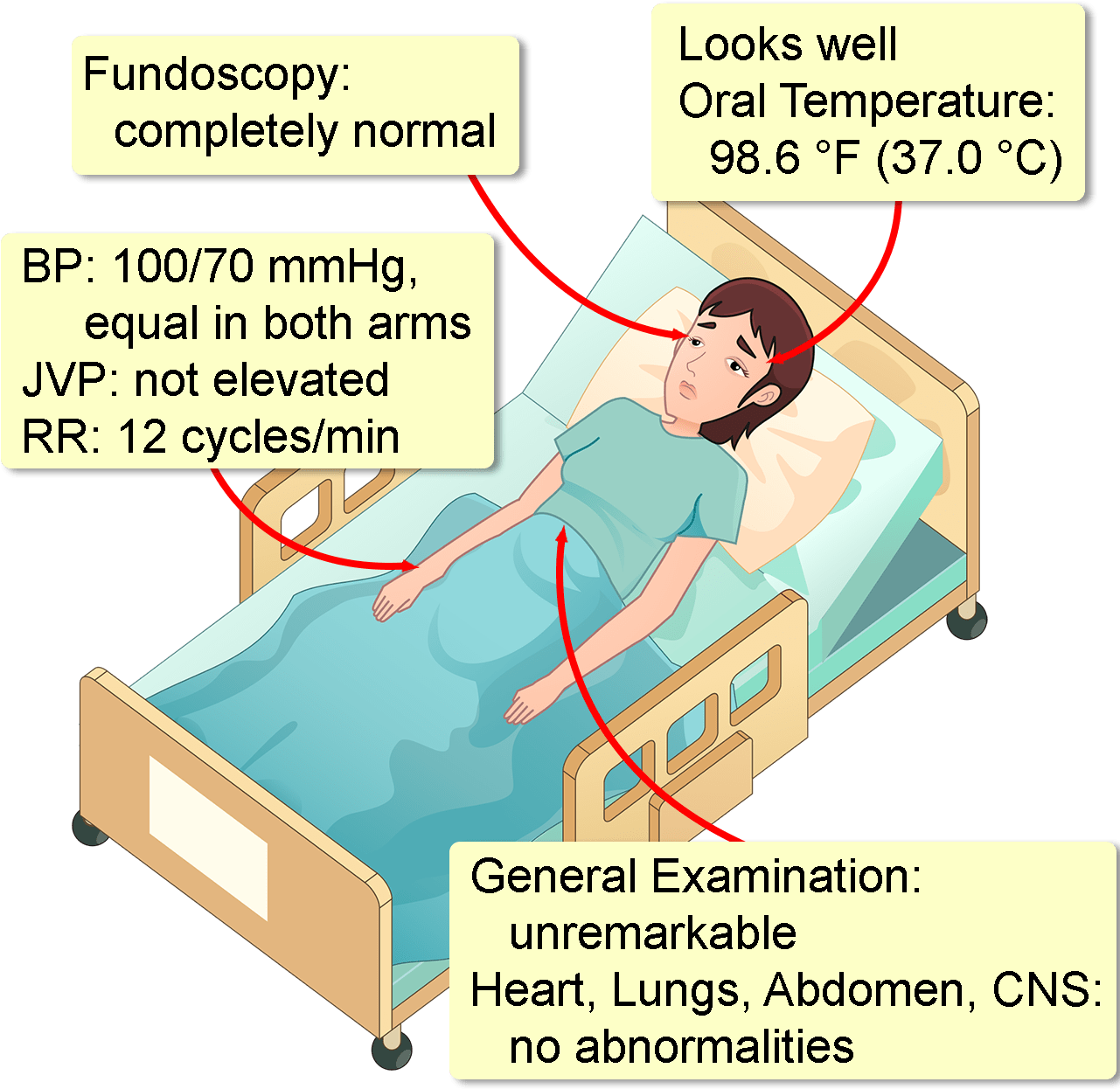 Her Medical, Surgical, And Family Histories Are Completely - Bed Frame (1330x1280), Png Download