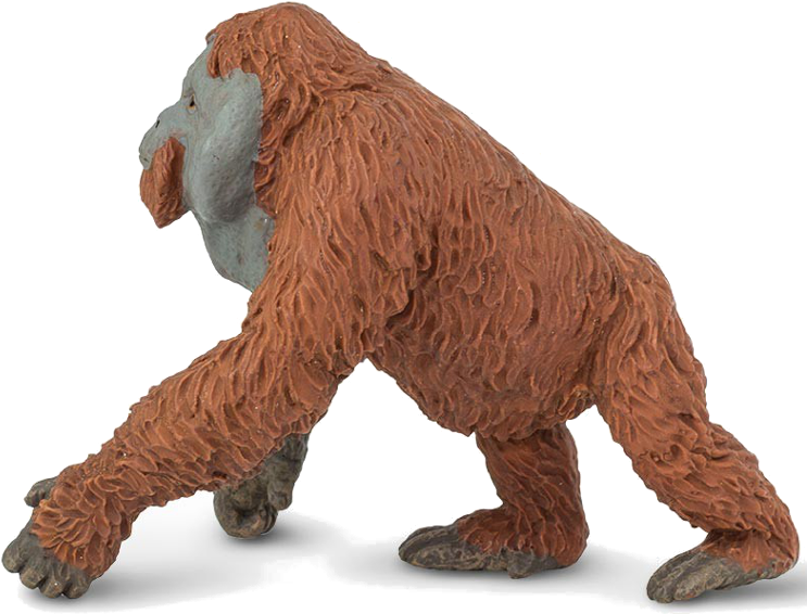 Buy Action Figure Safari Male Orangutan 292929 Elkor - Safari Ltd. Male Orangutan (800x800), Png Download