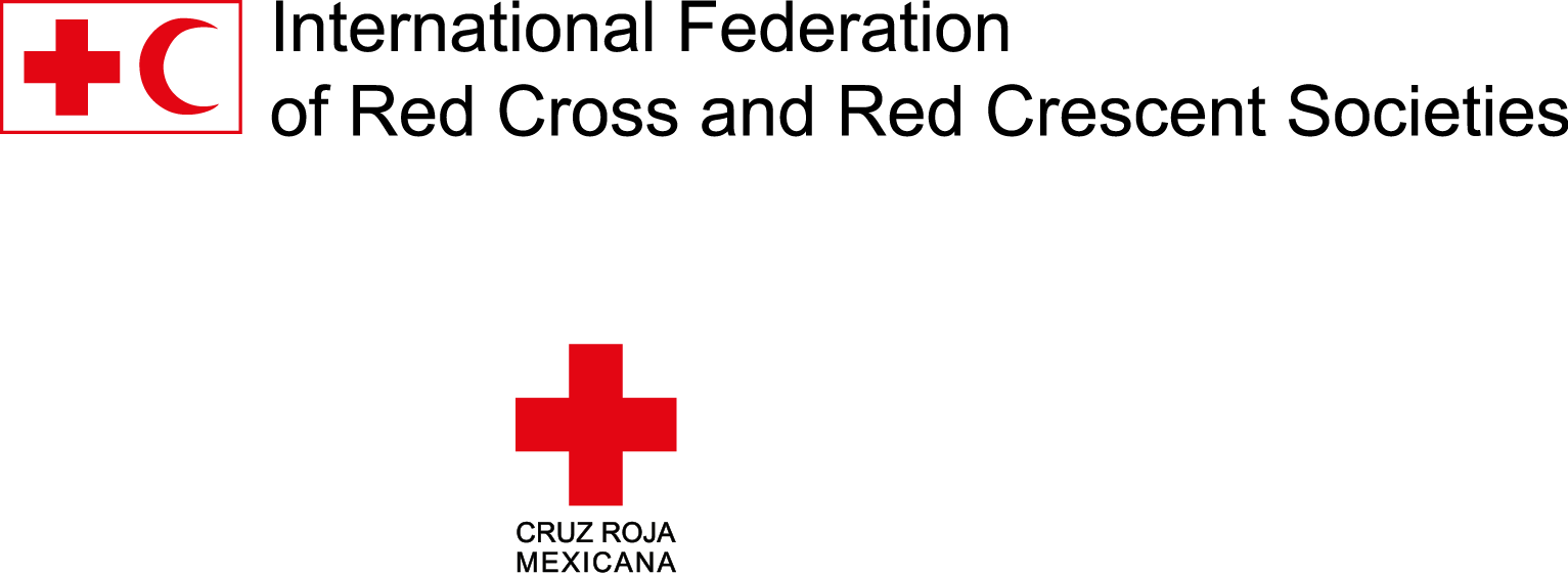Zurich Y Cruz Roja Te Ayudan A Diseñar Un Plan Familiar - International Year Of Light (1533x560), Png Download