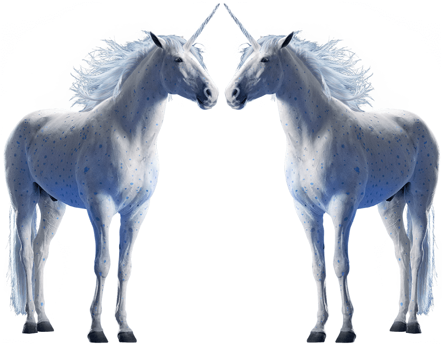 Check With Your Community Curbside Recycling Program - Foal (908x706), Png Download