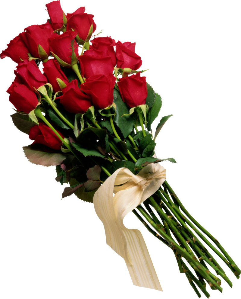 Rose Png, Download Png Image With Transparent Background, - Prometimos No Llorar Cd (800x990), Png Download