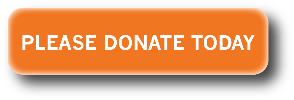 996 X 351 1 - Please Donate (996x351), Png Download