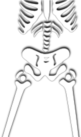 Horror Clipart Skelton - Skeleton (640x480), Png Download
