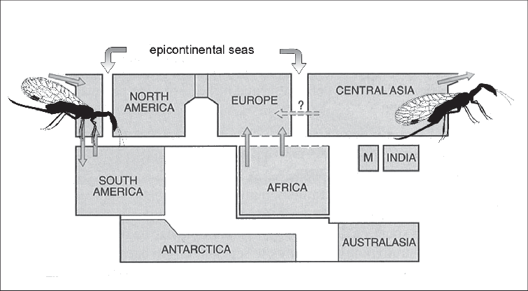 Schematic Graph Of The Late Cretaceous Territories - Diagram (755x416), Png Download
