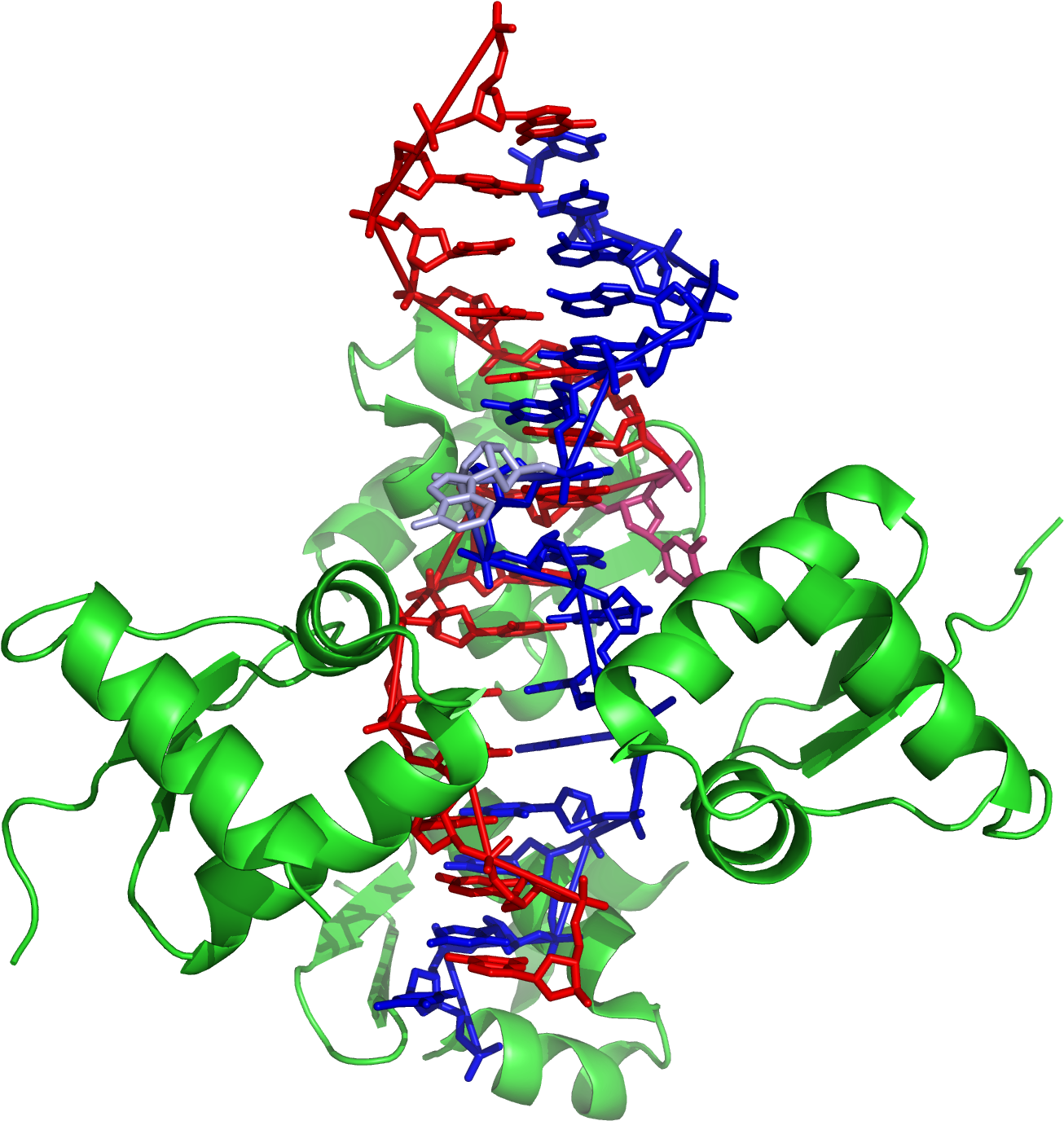 Z Dna Wikipedia - Dna (1620x1620), Png Download