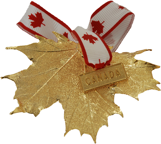 Canada Gold Maple Leaf Ornament - Canada (608x552), Png Download