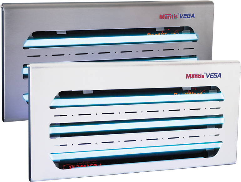 Insectocutor Mantis (800x600), Png Download