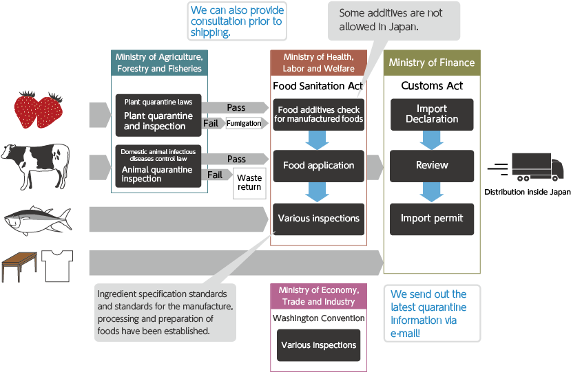 And Customs Clearance Are Required When Exporting And - Japan Import Clearance System (960x565), Png Download