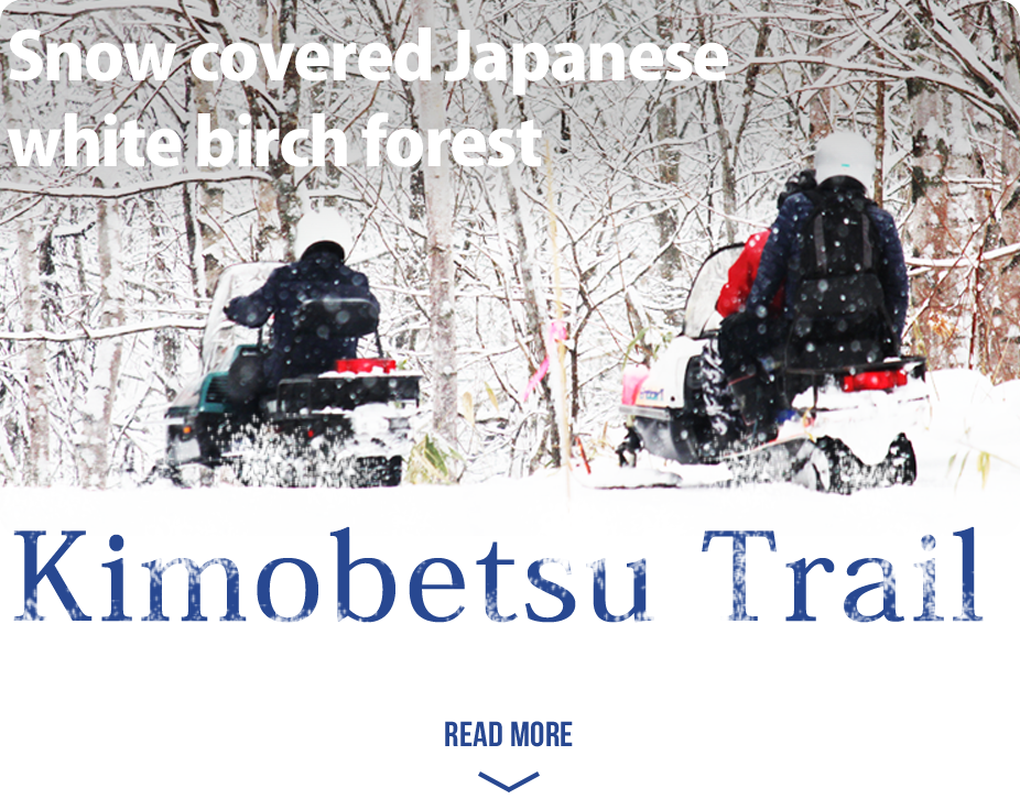 We Invite You To Drop In For Your Own Snowmobiling - Snow (926x726), Png Download