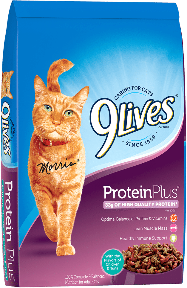 9 Lives Protein Plus Dry Cat Food - 9 Lives Protein Plus (1000x1000), Png Download