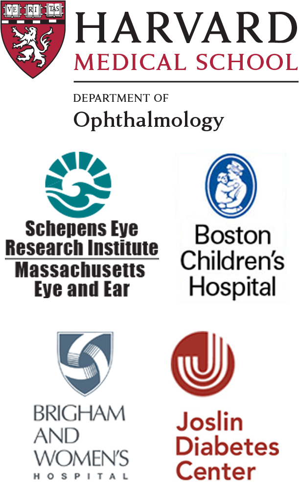 Irtp Banner3 - Harvard Medical School (615x1029), Png Download