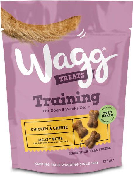 Paper Bag (500x650), Png Download