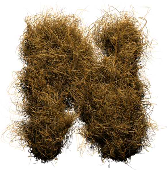 Hay Fur Font - Grass (595x595), Png Download