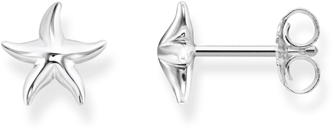 H2001 001 21 Aretes Estrella De Mar - Earrings (1024x1024), Png Download