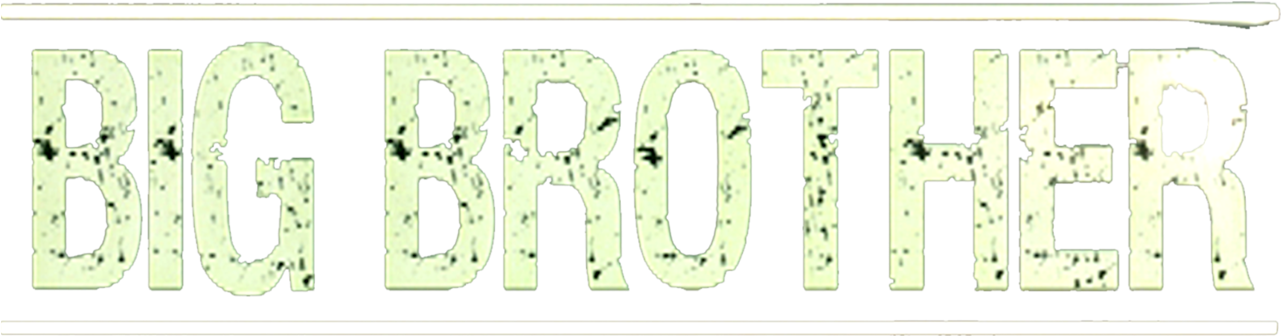 Big Brother Hindi Movie (1280x544), Png Download