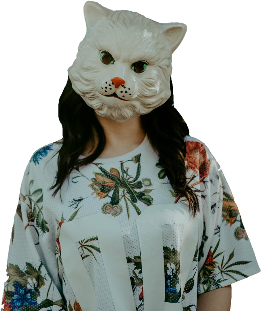Limbo Sticker - Domestic Short-haired Cat (1024x1255), Png Download