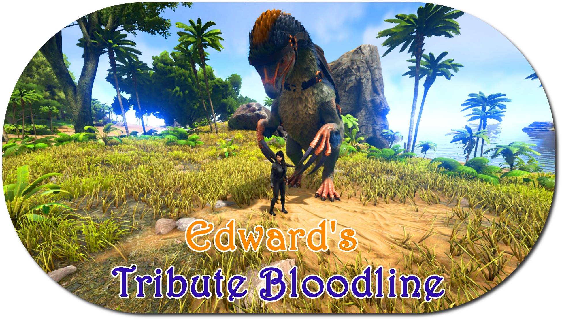 82w5h07 ] - Pc Game (1950x1110), Png Download