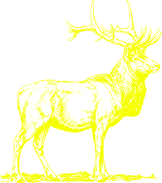Small - Golden Stags Png (528x599), Png Download