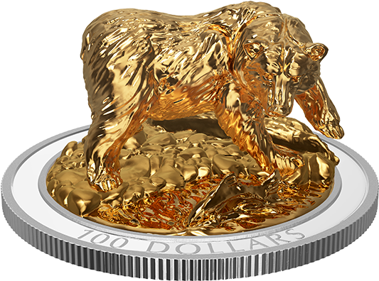 Picture Of - Grizzly Bear (570x570), Png Download