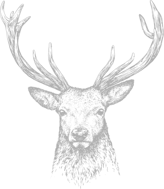 Hirsch Skizze (529x608), Png Download