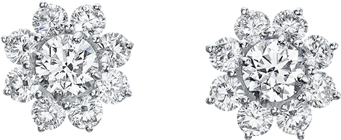 Main Navigation Section - Harry Winston Round Diamond Cluster Earrings (1200x800), Png Download