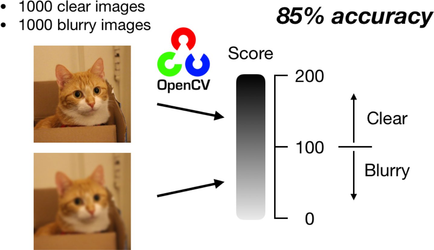 All Images With A Score Higher Than 100 Are Predicted - Deep Learning Blur Detection (1500x849), Png Download