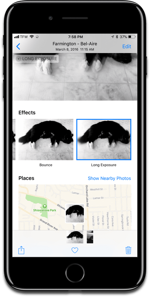 Choosing A Long Exposure Live Photo Effect In Photos - Ios 12 Password Autofill (520x1024), Png Download