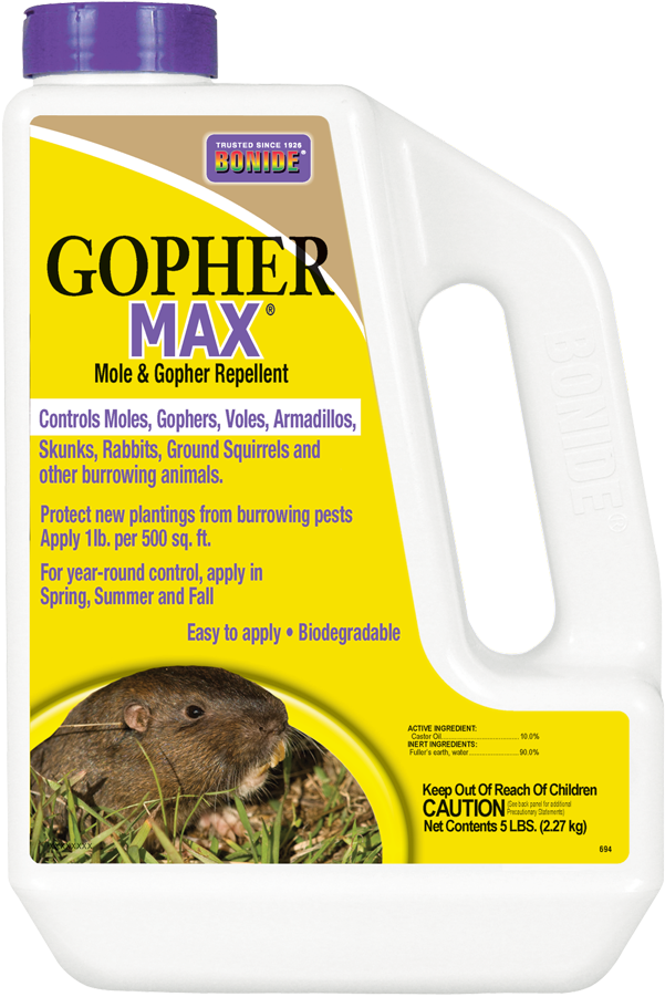 Gophermax® - Rat (601x901), Png Download